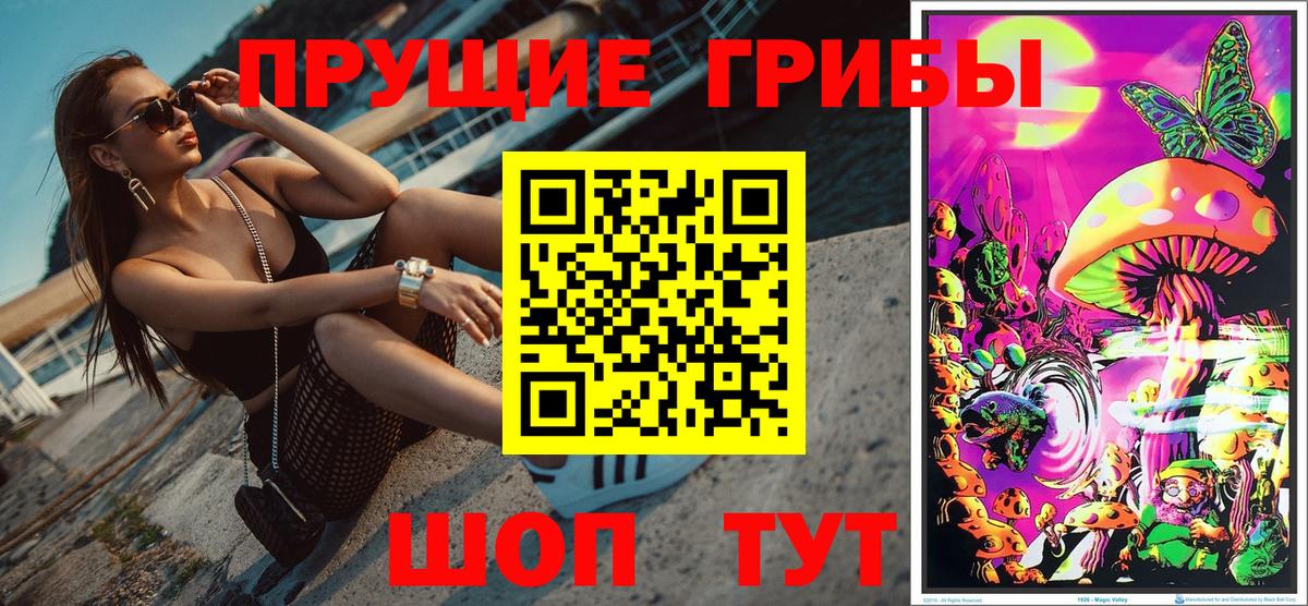 Псилоцибиновые грибы мухоморы Новочеркасск