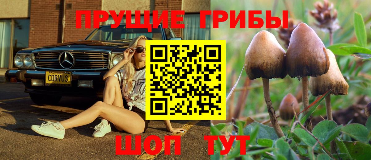 Новочеркасск  Галлюциногенные грибы Magic Shrooms  Псилоцибиновые грибы прущие грибы  Вход с VPN 
